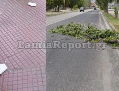 Λαμία: Καταστροφές από τον αέρα (βίντεο)